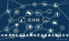 比特币钱包充值失败的常见原因及解决方法