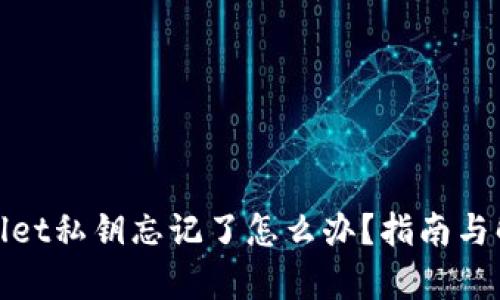 : tpWallet私钥忘记了怎么办？指南与解决方案