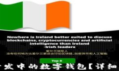 什么是区块链开发中的数字钱包？详细解析与应