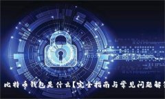 : 比特币钱包是什么？完全指南与常见问题解答