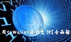 什么人无法使用tpWallet进行支付？全面解析与解决