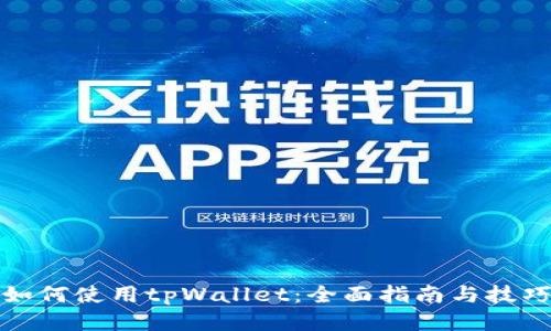 如何使用tpWallet：全面指南与技巧