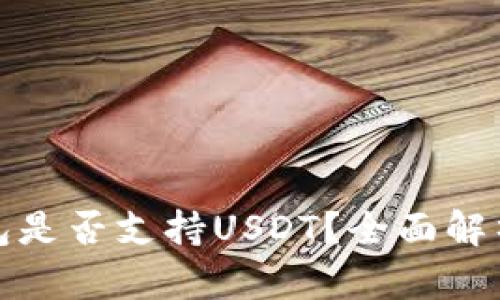 : 比太冷钱包是否支持USDT？全面解析及操作指南