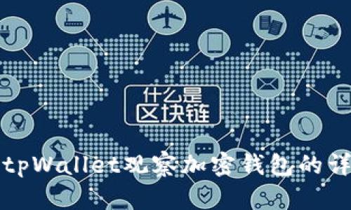 如何从tpWallet观察加密钱包的详细指南