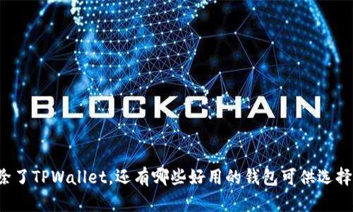除了TPWallet，还有哪些好用的钱包可供选择？