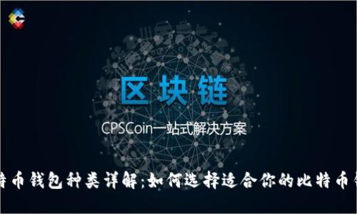 比特币钱包种类详解：如何选择适合你的比特币钱包