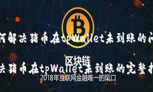 如何解决猪币在tpWallet未到账的问题

解决猪币在tpWallet未到账的完整指南