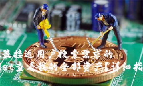 思考一个并且最接近用户搜索需求的  
如何在tpWallet查看我的全部资产？详细指南与实用技巧