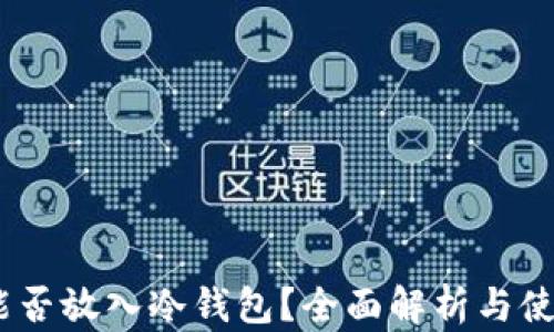 
USDT能否放入冷钱包？全面解析与使用指南