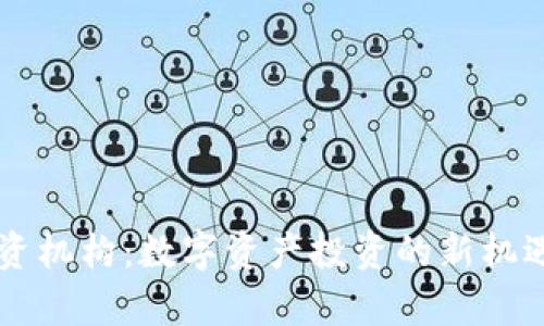 tpWallet投资机构：数字资产投资的新机遇与策略探索