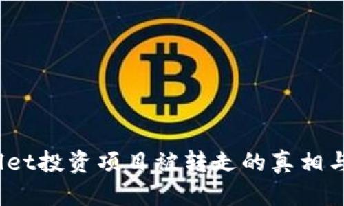 # tpWallet投资项目被转走的真相与对策分析