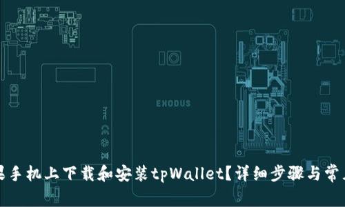 如何在苹果手机上下载和安装tpWallet？详细步骤与常见问题解答