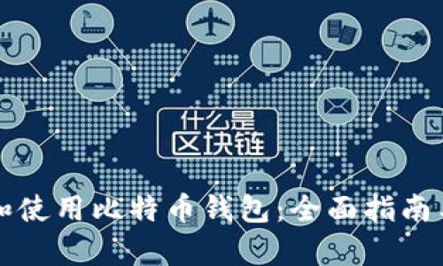 如何选择和使用比特币钱包：全面指南与实例分析