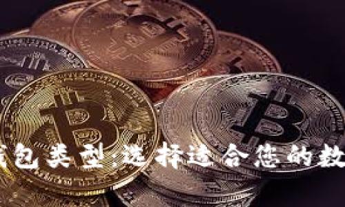 全面解析USDT钱包类型：选择适合您的数字资产存储方案