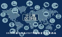 2023年国内主流USDT钱包推荐及使用指南