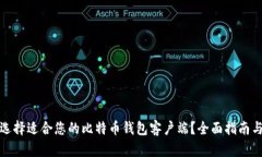 如何选择适合您的比特币钱包客户端？全面指南