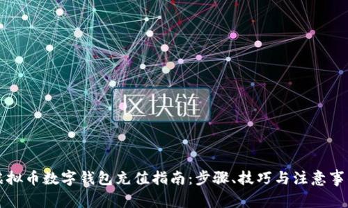 虚拟币数字钱包充值指南：步骤、技巧与注意事项