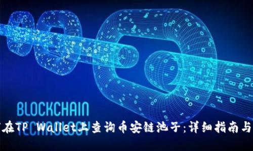 如何在TP Wallet上查询币安链池子：详细指南与技巧