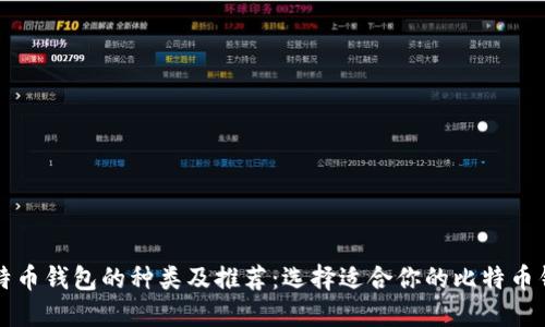 比特币钱包的种类及推荐：选择适合你的比特币钱包