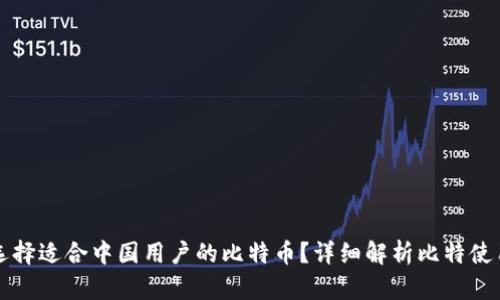 如何选择适合中国用户的比特币？详细解析比特使用指南